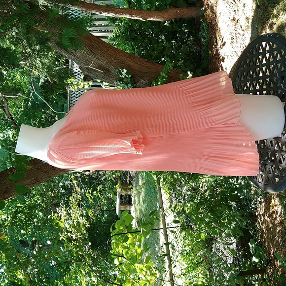 Size L Lavena peach chiffon scrunch blouse - Picture 4 of 14